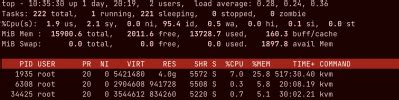 proxmox high memory usage.